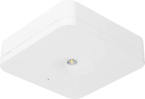 Fischer Sicherheitsleuchte EB 1/3/8h, 1W, IP20 SLM-D31USC - Kinderlampen mit wählbarer Betriebsdauer (1h/2h/3h/8h) für sichere Fluchtwege. Ideal für Schulen und öffentliche Einrichtungen, ausgestattet mit automatischen Funktions- und Betriebsdauertests.