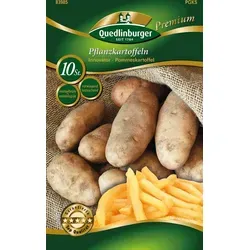 Pflanzkartoffel Innovator (10 Stück) (hellgelb, vorwiegend festkochend, mittelfrüh-spät) | Pflanzkartoffeln von Quedlinburger