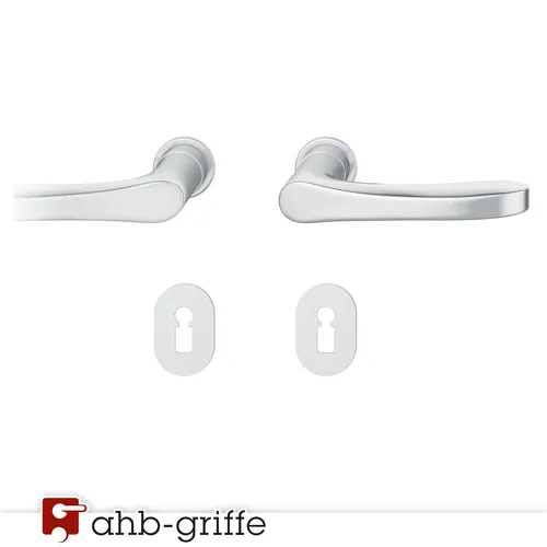 FSB Türgriff 1106 Steckgriff Edelstahl matt BB Türdrücker Türbeschlag Türklinke