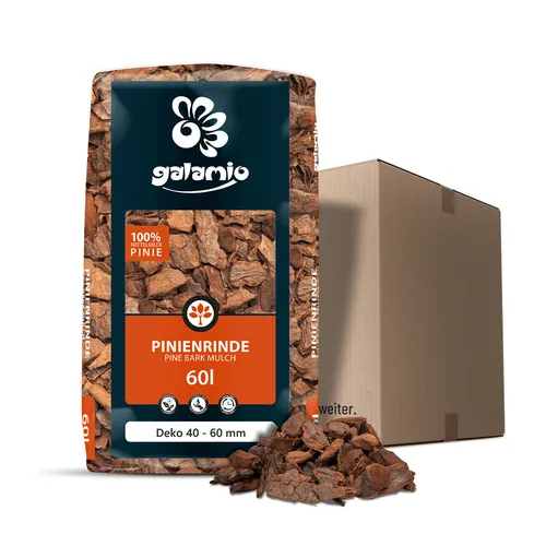 GALAMIO Pinienrinde Deko 40-60mm - 60l Sack Rindenmulch für Garten und Terrarium - Dekorativer Rindenmulch aus Mittelmeerkiefer, ideal für Beete und Pflanzflächen. Langsame Zersetzung sorgt für langanhaltenden Schutz und Unkrauthemmung. Umweltfreundlich und pflegeleicht für gesunde Pflanzen.