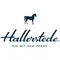 hallerstede.de