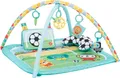 Bright Starts Spielbogen Grip & Kick Activity Gym, mit Licht- und Soundeffekt