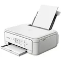 Canon Canon PIXMA TS5151 Tintenstrahldrucker, (WLAN, Automatischer Duplexdruck) weiß
