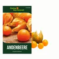 Andenbeere Kapstachelbeere Samen - Physalis peruviana - Andenbeerensamen