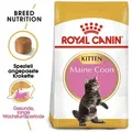 ROYAL CANIN Maine Coon Kitten 400g