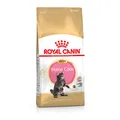 Royal Canin Maine Coon Kitten | 400 g | Alleinfuttermittel für Maine Coon Kitten | Speziell für Maine Coon Katzenwelpen entwickelt | Geeignet bis zum 12. Lebensmonat