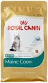 Royal Canin Katzenfutter Feline Kitten Maine Coon 36, 400 g, 2er Pack (2 x 400 g)