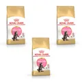Royal Canin Maine Coon Kitten | 3er Pack | 3 x 400 g | Alleinfuttermittel für Maine Coon Kitten | Speziell für Maine Coon Katzenwelpen entwickelt | Bis zum 12. Lebensmonat