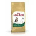 Royal Canin Feline Kitten Maine Coon 36 | 400g Kätzchenfutter