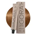 Schwarzkopf - Igora Royal Absolutes 7-50 7-50 Mittelblond - Gold Natur