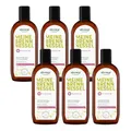 alkmene 6x Shampoo gegen fettige Haare mit Brennnessel 250 ml - Veganes Shampoo fettige Kopfhaut vermindert schnelles Nachfetten - Haarshampoo fettiger Ansatz