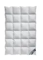Arktic Kassetten Daunendecke Ganzjahresdecke 100% Natur 135x200 cm