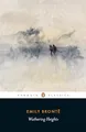 Emily Bronte - Wuthering Heights - Paperback - G245z
