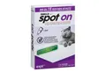Shield On Zeckenschutzmittel Spot On Floh- und Zeckenschutz für Katzen, 5 x 2ml, 10 ml