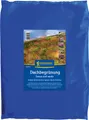 Kiepenkerl Dachbegrünung Gräser-Kräutermix 1 kg – Pflegeleichte, trockentolerante Dachbegrünung