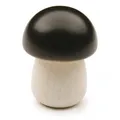 Erzi Steinpilz