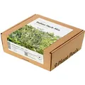 Click & grow Pflanzkapsel - Italienische Kräutermischung (9-er Packung)