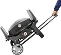 LANDMANN Pantera Kit Transport-, schwarz, 63 x 51 x 20 cm