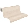 A.S. Création Vliestapete Terra Tapete Putzoptik, strukturiert, matt, (1 St), Struktur-Tapete Einfarbig beige