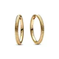 Pandora 269532C00 Momente Ohrringe
