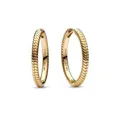 Pandora Paar Creolen SHINE-269532C00