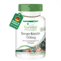 Fairvital | Sango Koralle Kapseln 1000mg - 90 Kapseln - VEGAN - enthält 340mg Calcium pro Kapsel
