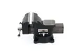 GEDORE red Parallel-Schraubstock mit Amboss, drehbar, nach vorn öffnend, zentrisch, Spannkraft 25 KN, R93800150