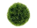 Künstliche Zimmerpflanze Grüne Deko Gras-Kugel künstlich Ø18cm Tischdeko Fensterbank, Viana, Höhe 18 cm