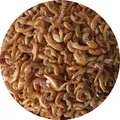 Fischfuttertreff Gammarus Bachflohkrebse Fischfutter FD Reptilienfutter Vogelfutter Nagerfutter (5 l)