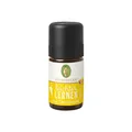 Primavera Duftmischung Leichter lernen Kids 5ml naturreine Qualität