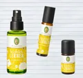Primavera Set Leichter lernen Duftmischung Bio Airspray Roll-On Kids