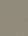 Tapete Vlies Beton Patina graubraun gold metallic Avalon 31642 (4,99€/1qm)