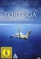 Tortuga - Die unglaubliche Reise der Meeresschildkröte vo... | DVD | Zustand gut