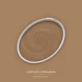 Wandfarbe Braun matt | The Color Kitchen Certain Cinnamon | Innendispersion
