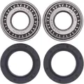 ALL BALLS RACING Radlagersatz Hochgeschwindigkeits 25-1001