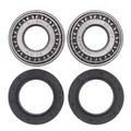 Radlagersatz für ALL BALLS AB25-1001
