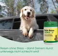 cdVet Gute Reise 30 Kapseln für Hunde - gegen Übelkeit und Unwohlsein auf Reisen
