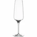 Leonardo Sektglas Cesti Sekt Glas Champangerglas Champagner Kristallglas 240 ml
