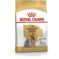 Yorkshire Terrier Adult 500g