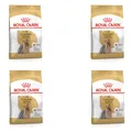 Royal Canin Yorkshire Terrier Adult Trockenfutter | 4er Pack | 4 x 500 g | Speziell für Erwachsene Yorkshire Terrier entwickelt | Unterstützung der körpereigenen Abwehrkräfte