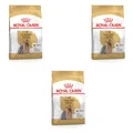 Royal Canin Yorkshire Terrier Adult Trockenfutter | 3er Pack | 3 x 500 g | Speziell für Erwachsene Yorkshire Terrier entwickelt | Unterstützung der körpereigenen Abwehrkräfte