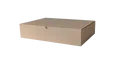 DHL Kleinpaket - Klappdeckelkarton Karton 350x250x80 mm Faltkarton Versandkarton