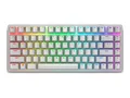 Dell Alienware Pro Wireless Gaming Keyboard - Tastatur - 75% - compact TKL - AlienFX Per-Key RGB / 16,8 Millionen Farben - kabellos - 2.4 GHz, Bluetooth 5.1, USB - QWERTY - USA - Tastenschalter: Alienware lineare mechanische Switches (Hotswap-fähig)