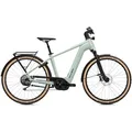 Flyer Gotour 7.12 XC Gents - Frosty Sage - 53cm | 29
