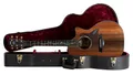 Taylor PS14ce Westerngitarre