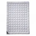 Billerbeck Bettdecke Sari – ca. 200 x 200 cm – leichte Sommerdecke – kühlende dünne Decke für den Sommer – aus Tussah Seide