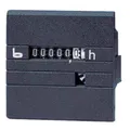 Bauser 632/008-001-1-1-001 Betriebsstundenzähler - 632