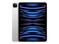 Apple Tablet-PC iPad Pro 11" (2 TB) Silber MNXN3FD/A