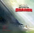 Tracey Miller-Zameke The Art of How to Train Your Dragon (Gebundene Ausgabe)