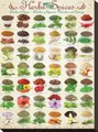 Puzzle 1000 elementów. Zioła i przyprawy